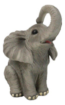 Safari Savanna Grasslands Wildlife African Bush Elephant Lifting Trunk Figurine