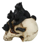 Witchcraft Black Kitten Cats Perching On Arachnid Spider Web Skull Figurine