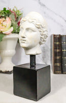 Classical Greek Roman Goddess Aphrodite Head Bust Replica On Black Base Statue