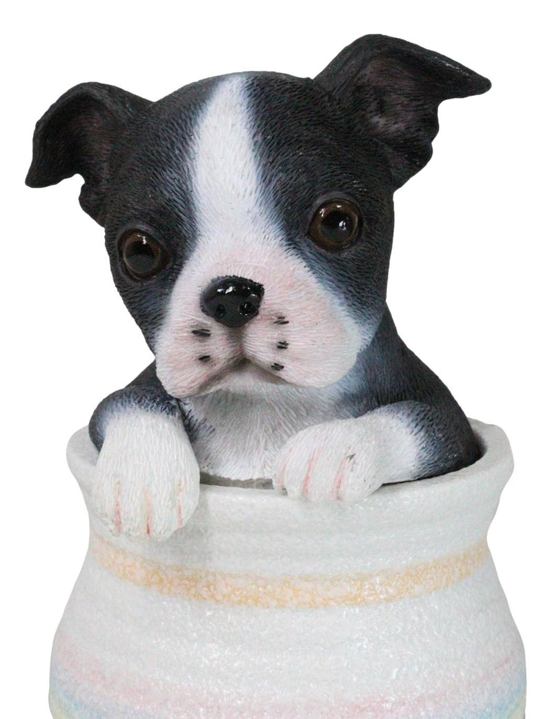 Black White Tuxedo Boston Terrier Puppy Dog Figurine With Glass Eyes Pup In Pot