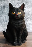 Witch's Pet Realistic Mystical Black Kitty Cat Kitten Sitting Figurine 8"H