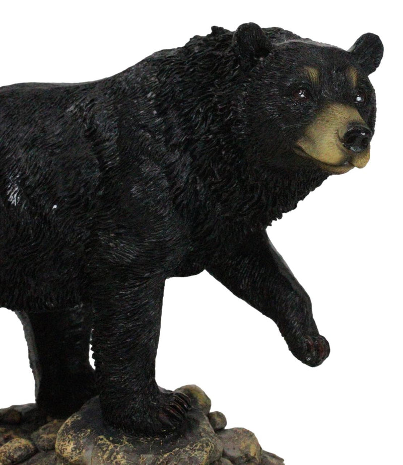 Rustic Wildlife Forest Black Bear Fishing By Rocky River Bank Figurine Decor