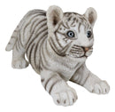 Realistic White Alaskan Siberian Tiger Cub Crouching Decorative Statue 12"L