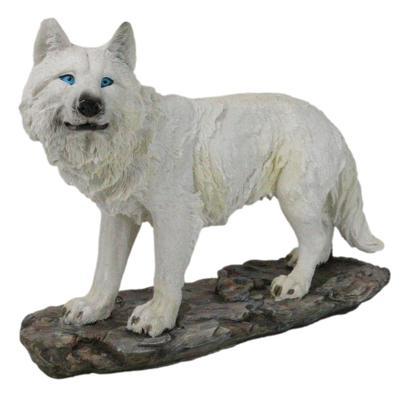 Winter Forest Hunter Tundra Snow White Albino Wolf On The Prowl Figurine 11.5"L