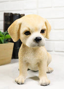 Realistic Sitting Adorable Fawn Labrador Puppy Figurine 5.5" Tall Pet Pal Dog