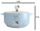 Ceramic Blue Lovely Cat With Fishes 30oz Noodle Dessert Food Bowl W/ Glass Lid