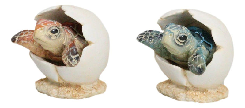 Pack Of 2 Marine Blue And Brown Sea Turtle Hatchlings In Egg Shells Figurines