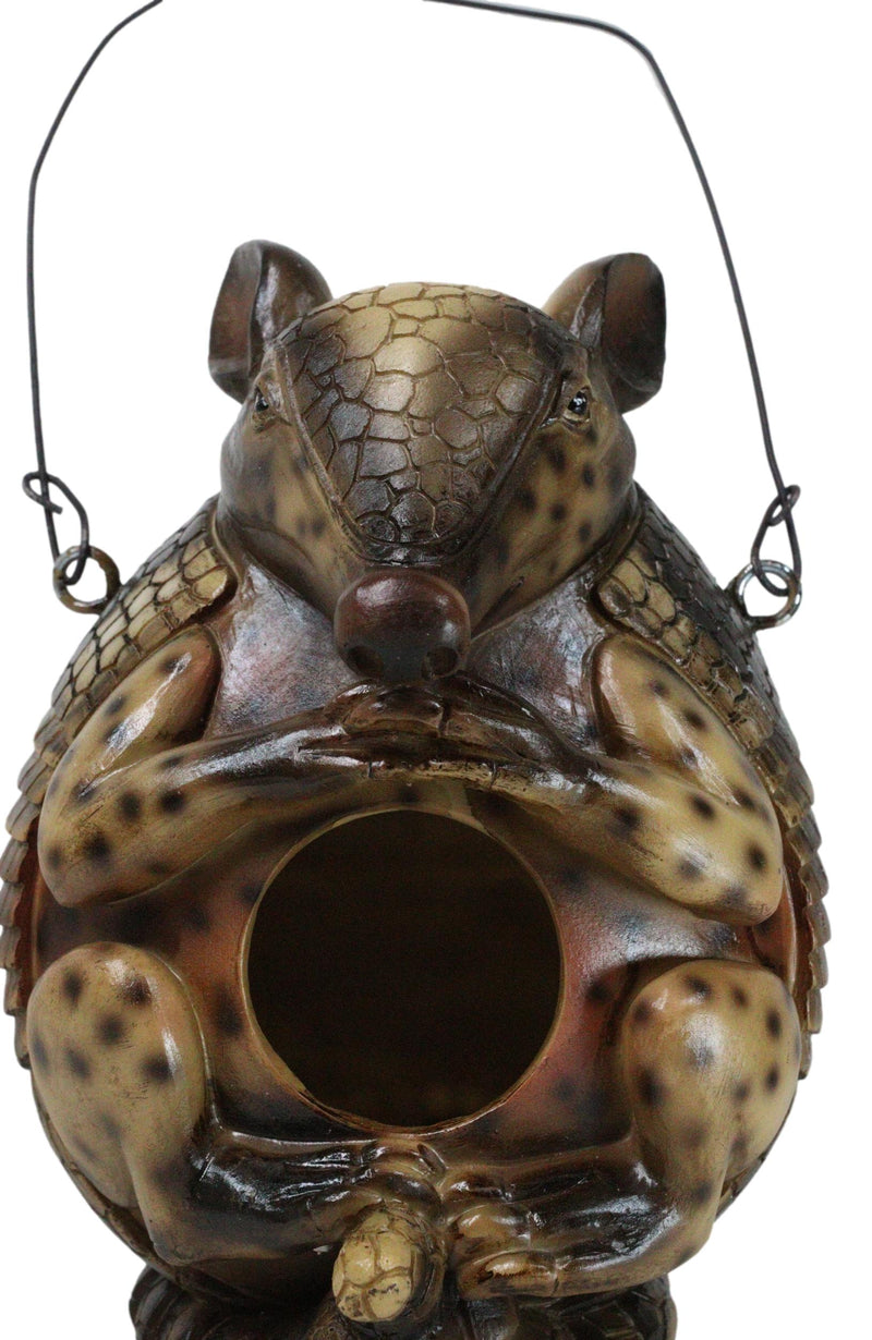 Rustic Western Wildlife Armored Armadillo Wire Hanging Birdhouse Bird Feeder