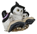 Arctic White Snow Owls With Witch Hats And Triple Moon Magic Spellbook Figurine