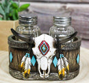 Southwestern Tribal Indian Bison Skull With Feathers Salt Pepper Shakers Holder