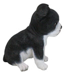 Realistic Miniature Boston Terrier Puppy Statue 6.25"Tall Animal Dog Collectible