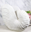 18.5"L White Nautical Marine Ocean Giant Nautilus Sea Shell Decorative Sculpture