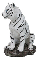 Rainforest Jungle Apex Predator White Bengal Tiger Sitting On Rock Figurine