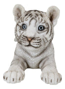 Realistic White Alaskan Siberian Tiger Cub Crouching Decorative Statue 12"L