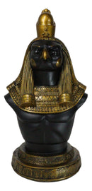 Egyptian God of The Sky Horus Ra Bust Decorative Box With Hieroglyphic Base