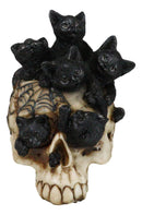 Witchcraft Black Kitten Cats Perching On Arachnid Spider Web Skull Figurine