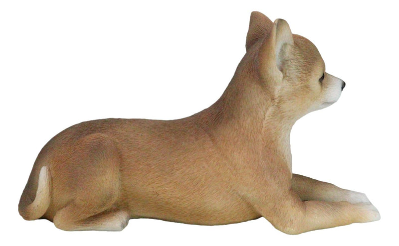 Realistic Shorthair Deer Head Chihuahua Dog Figurine With Glass Eyes 11"Long