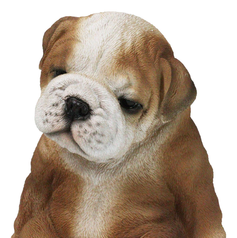 American Pedigree Dogs Lifelike Bulldog Puppy Dog Laid Back Sitting Figurine