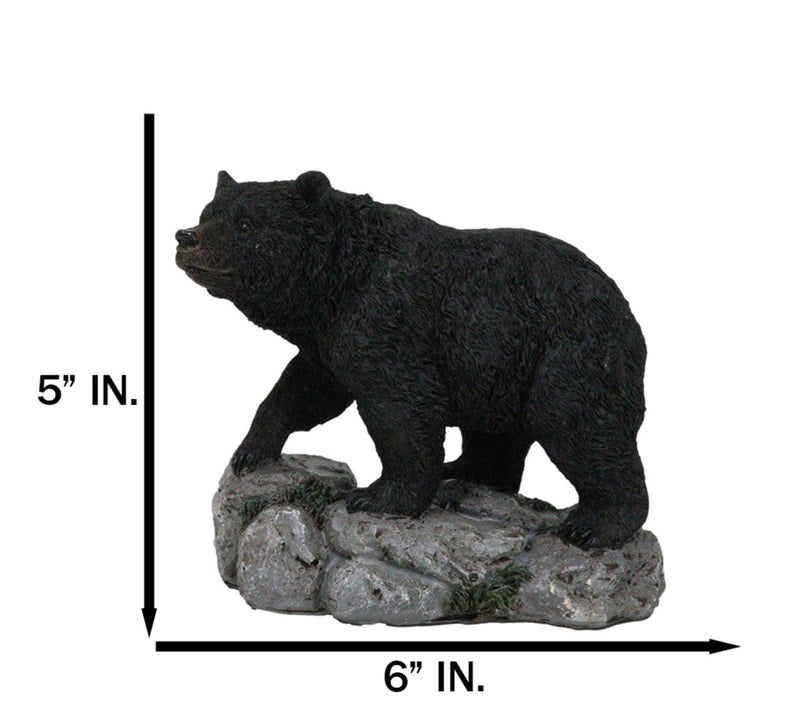 Rustic Wildlife Forest Black Bear Walking On River Rock Steppes Figurine