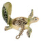 Ocean Marine Green Sea Turtle Decorative Key Stash Decorative Trinket Box