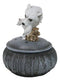 Albino Snow White Wolf Carrying Cub In Mouth Round Decorative Jewelry Box