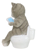 Shorthair Grey Cat Kitten Bookworm with Book Sitting On Toilet Potty Figurine