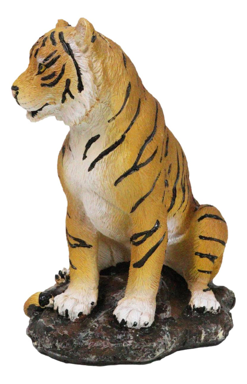 Rainforest Jungle Apex Predator Orange Bengal Tiger Sitting On Rock Figurine