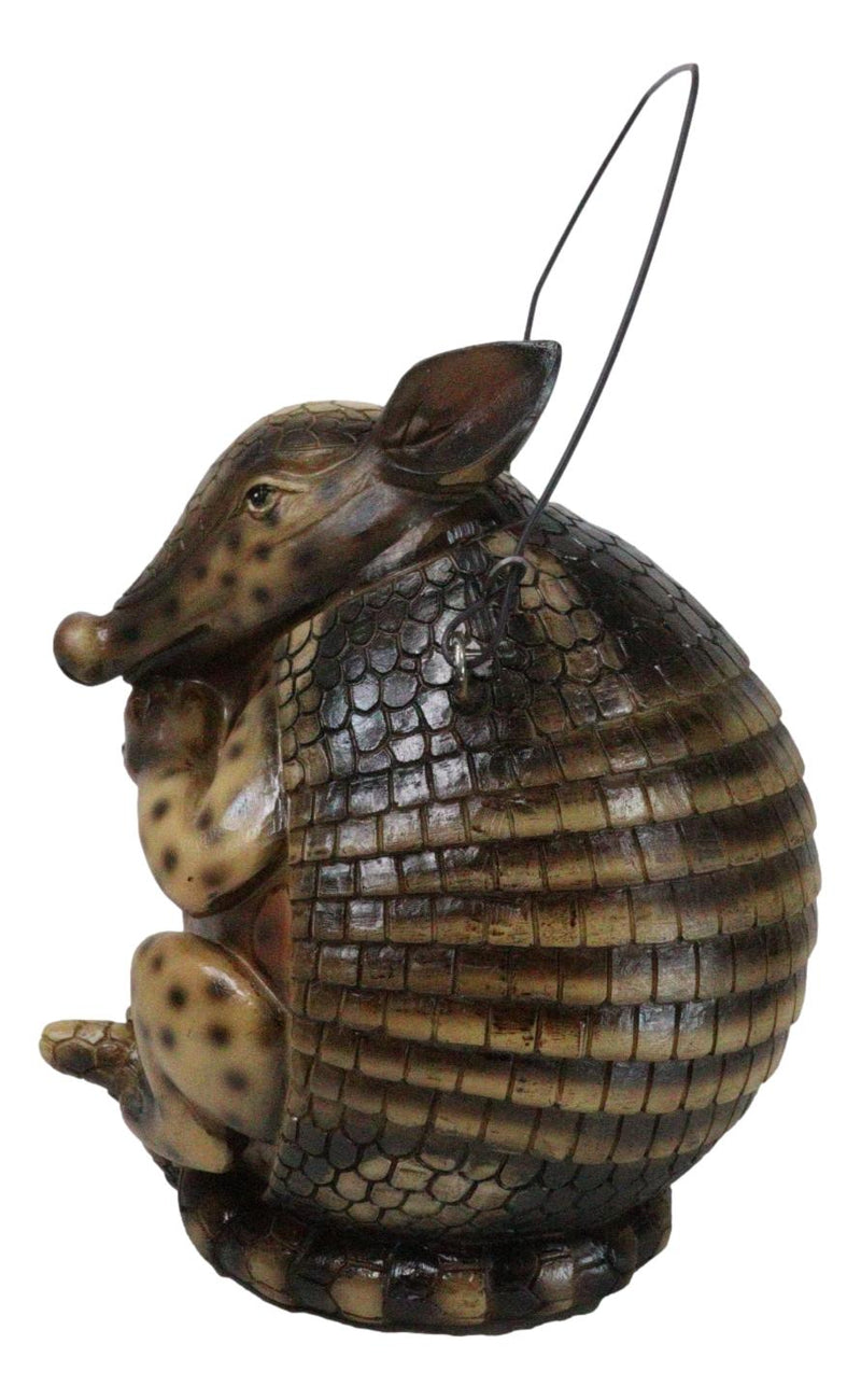 Rustic Western Wildlife Armored Armadillo Wire Hanging Birdhouse Bird Feeder