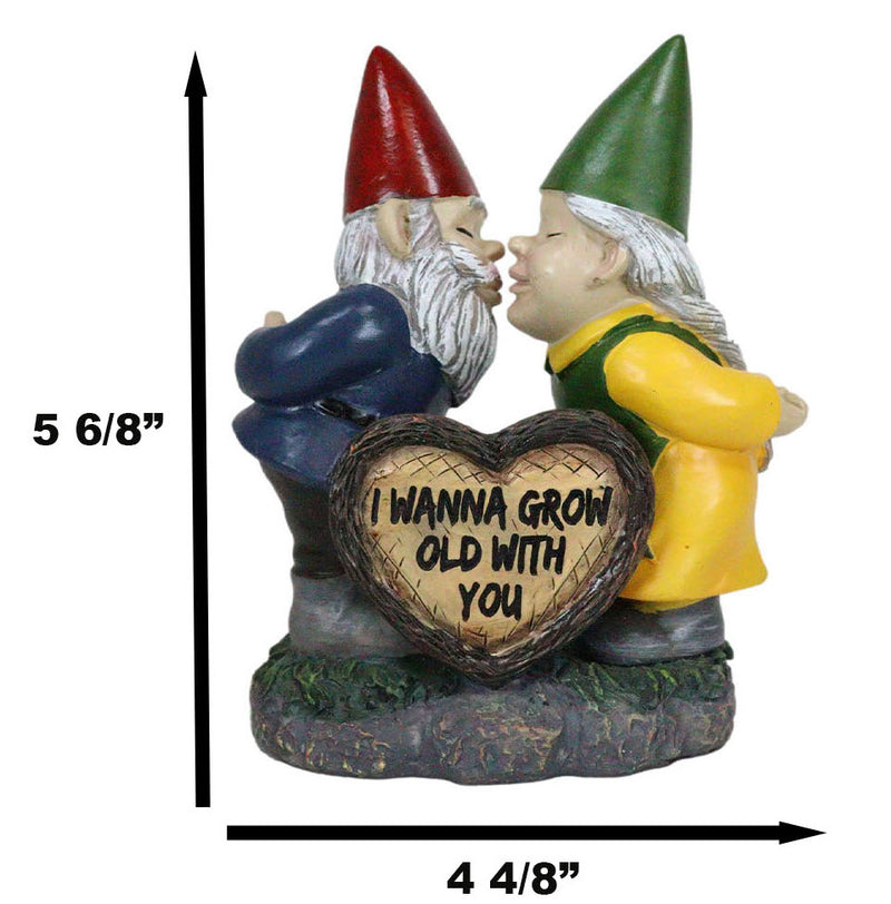 Whimsical Mr Mrs Gnome Kissing By Heart Sign I Wanna Grow Old With You Figurine