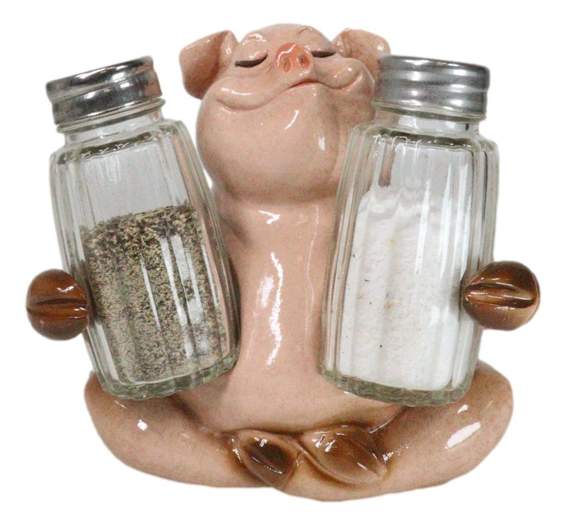 Rustic Country Animal Farm Porky Pig Hugging Salt Pepper Shakers Holder Set