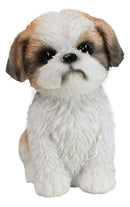 Adorable Lifelike Shih Tzu Puppy Dog Sitting Figurine with Glass Eyes Home Decor