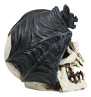 Gothic Nocturnal Vampire Bat Perching On Dracula Fanged Skull Figurine