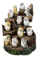 Forest Tree Steppes LED Display Stand With 12 Colorful Miniature Owls Figurines