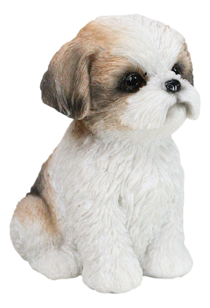 Adorable Lifelike Shih Tzu Puppy Dog Sitting Figurine with Glass Eyes Home Decor