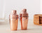 Transitional Modern Chic Style Stainless Steel Copper Finish Salt Pepper Shakers