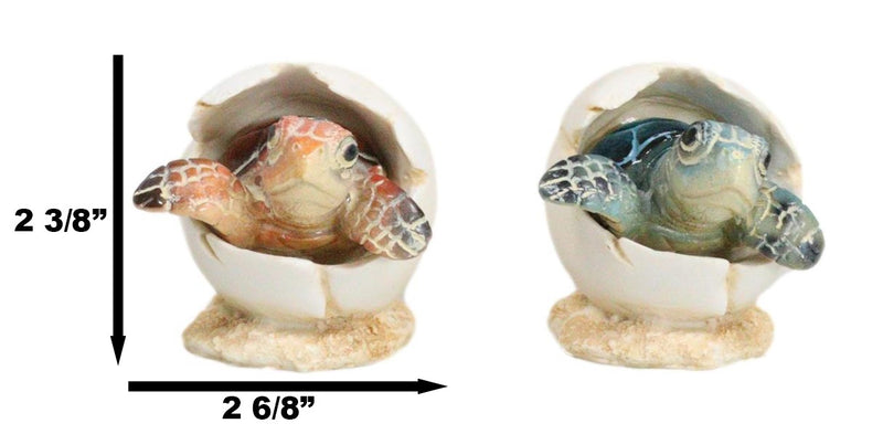 Pack Of 2 Marine Blue And Brown Sea Turtle Hatchlings In Egg Shells Figurines