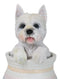 West Highland White Terrier Westie Puppy Dog Figurine With Glass Eyes Pup In Pot