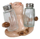 Rustic Country Animal Farm Porky Pig Hugging Salt Pepper Shakers Holder Set