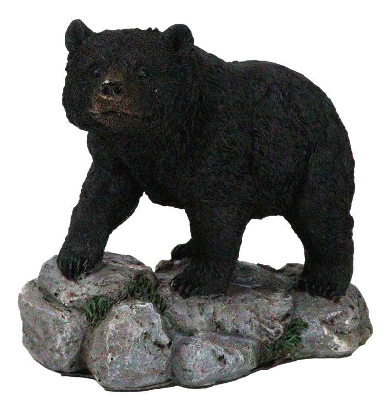 Rustic Wildlife Forest Black Bear Walking On River Rock Steppes Figurine