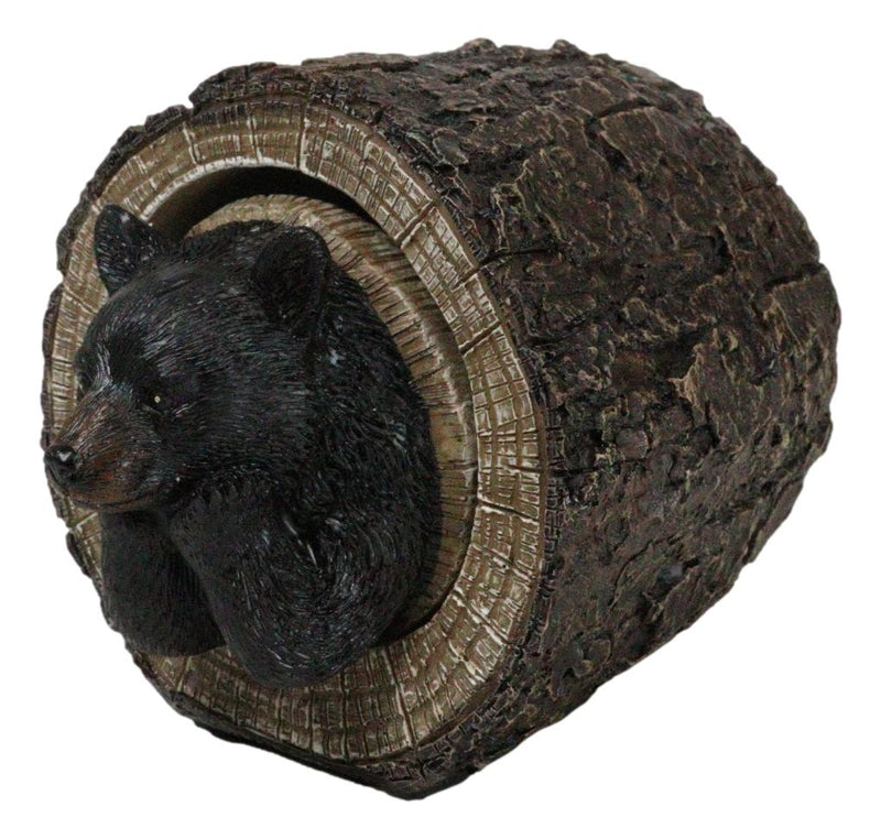 Daydreaming Black Bear in Tree Log Home Decorative Jewelry Trinket Box Figurine