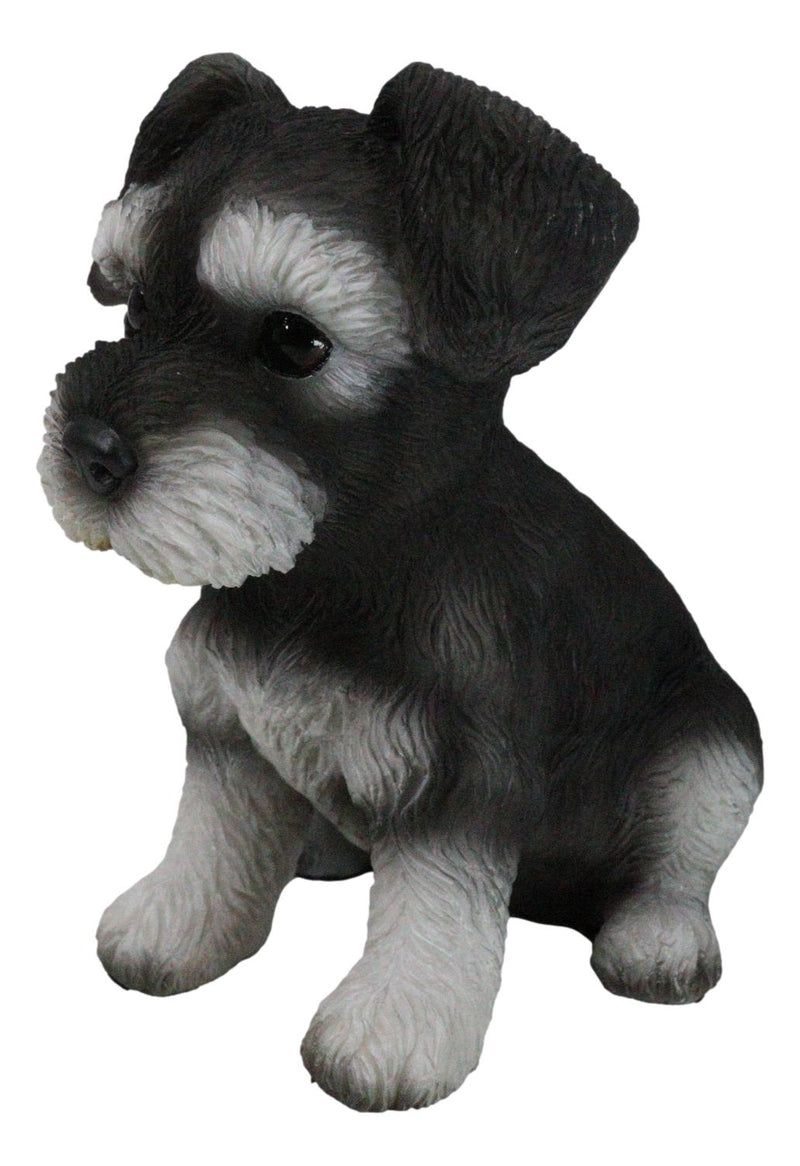 Adorable Black and Silver Miniature Schnauzer Puppy Dog Home Decor Figurine