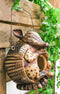 Rustic Western Wildlife Armored Armadillo Wire Hanging Birdhouse Bird Feeder