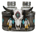 Southwestern Tribal Indian Bison Skull With Feathers Salt Pepper Shakers Holder