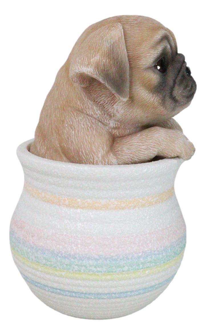 Realistic Puggy Pug Puppy Dog Figurine With Glass Eyes Pup In Pot Collection