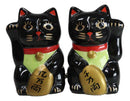 Black Lucky Fortune Japanese Maneki Neko Cats Ceramic Salt Pepper Shakers Set