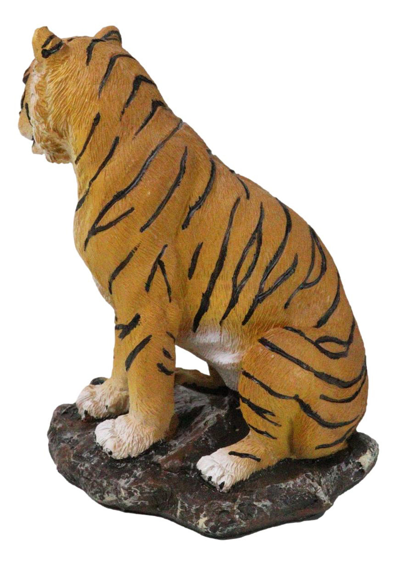 Rainforest Jungle Apex Predator Orange Bengal Tiger Sitting On Rock Figurine