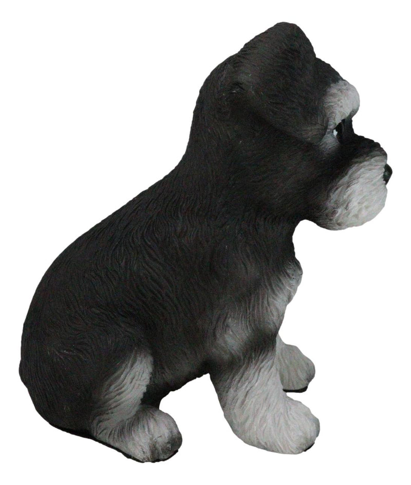 Adorable Black and Silver Miniature Schnauzer Puppy Dog Home Decor Figurine