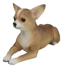 Realistic Shorthair Deer Head Chihuahua Dog Figurine With Glass Eyes 11"Long