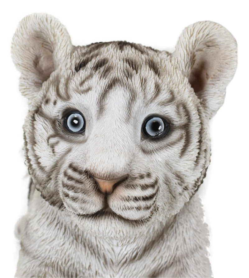 Realistic White Alaskan Siberian Tiger Cub Crouching Decorative Statue 12"L