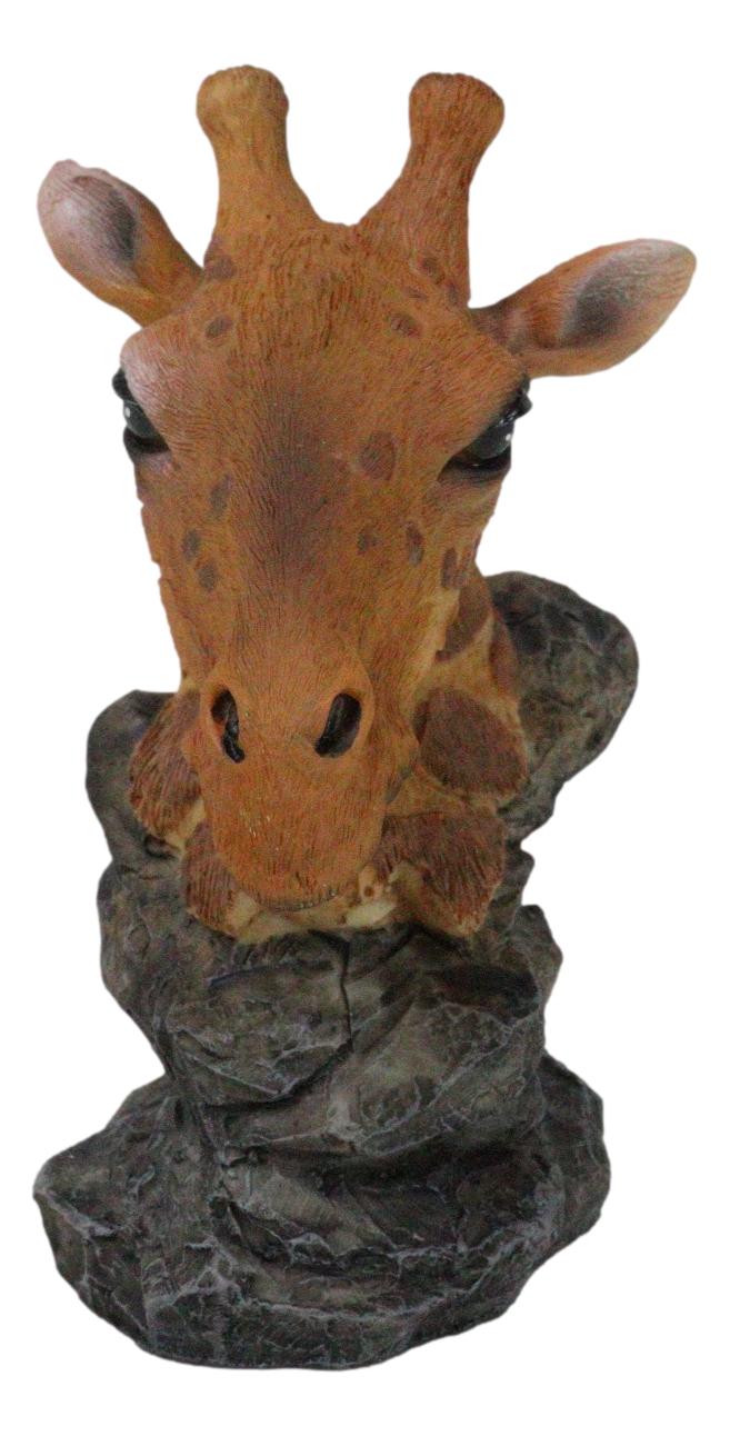 Safari African Savannah Masai Giraffe Head Bust On Rock Steppe Figurine